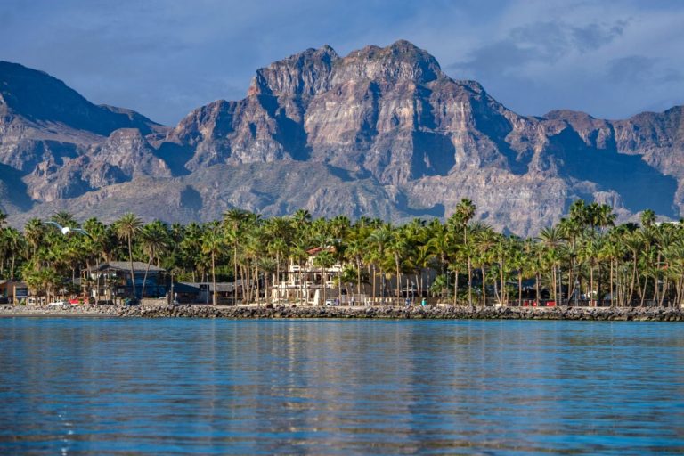 Loreto palm trees and mountains